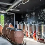 Yana Winery&spa
